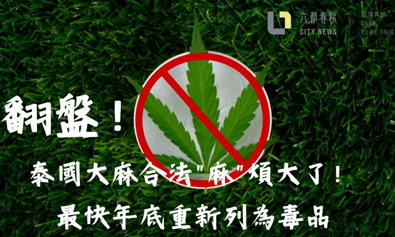 翻盤！泰國大麻合法"麻"煩大了！最快年底重新列為毒品